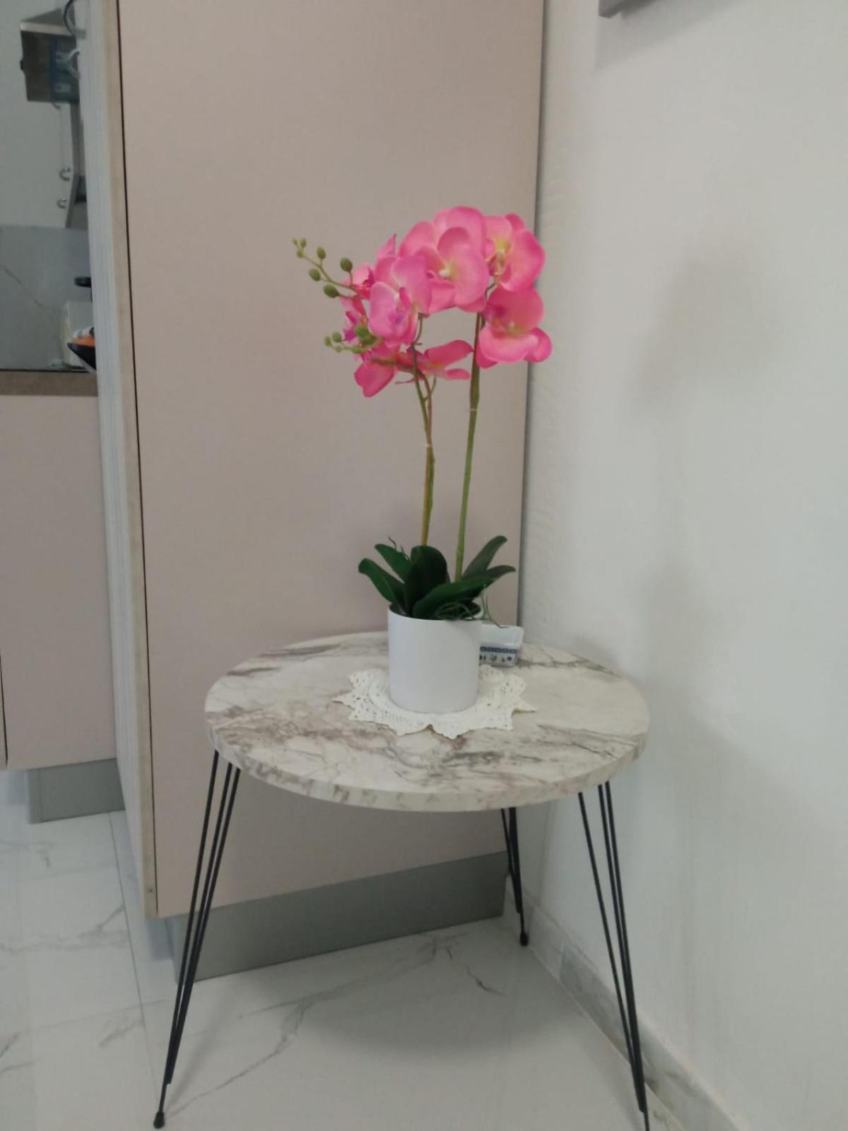Wh - Dolce Vita - Bilocale - 5 Minuti Dal Centro - Parcheggio Gratuito - Wifi Сан Ремо Екстериор снимка